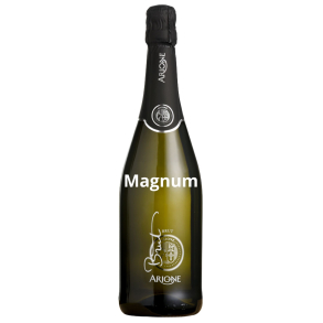 Arione Magnum