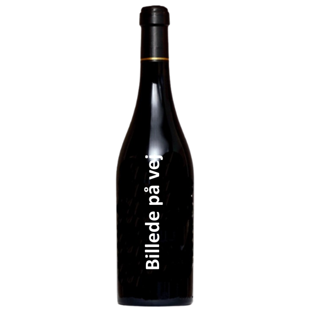 jf protheau Fleurie