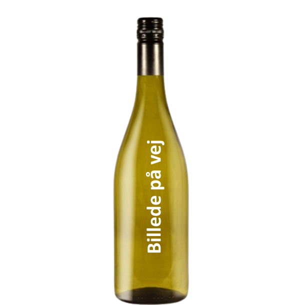 JF Protheau Santenay
