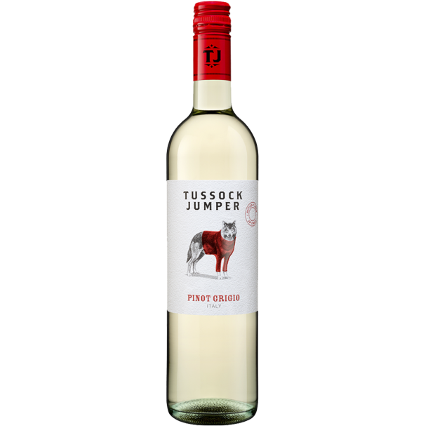 Tussock Jumper - Pinot Grigio Italien